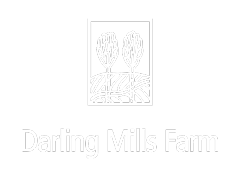 Darling Mills Farm